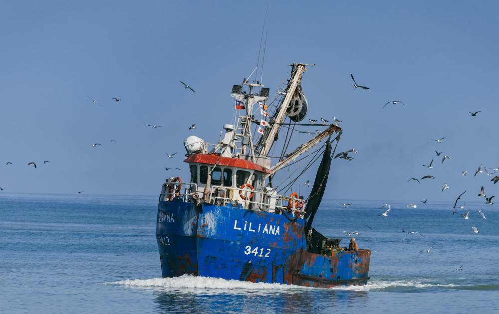 la pesca in emilia romagna