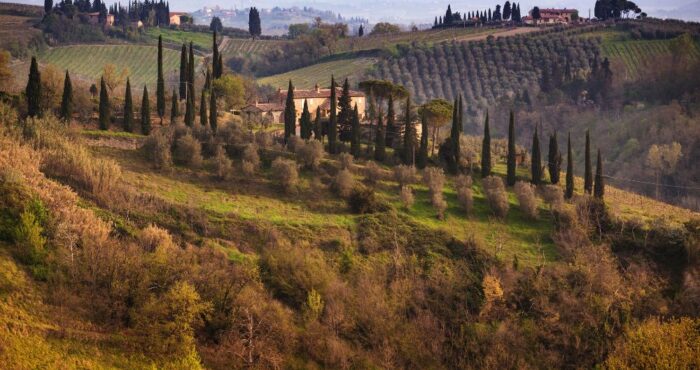 panorama collinare della Maremma