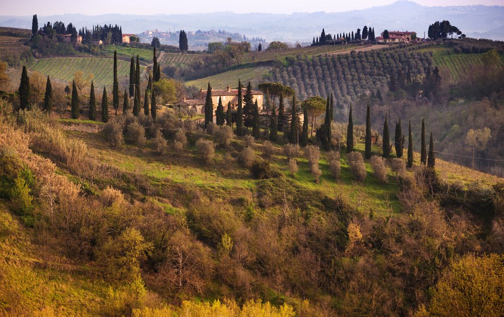 panorama collinare della Maremma