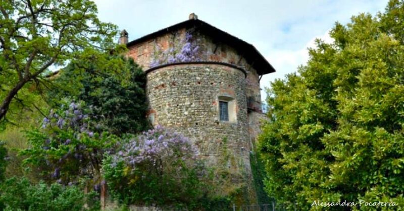 Torre cantina Luretta