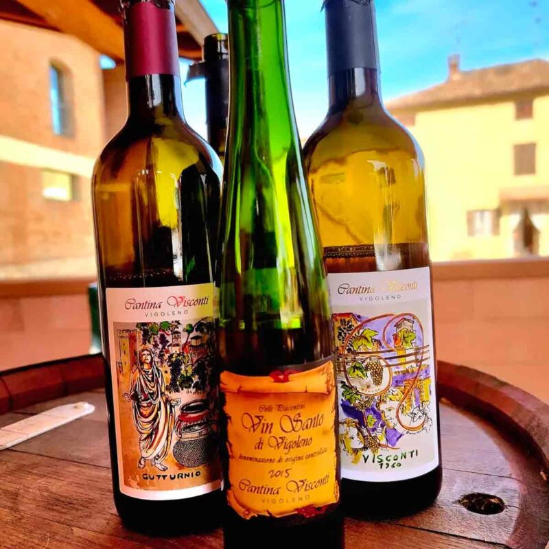 I vini della cantina Visconti 
