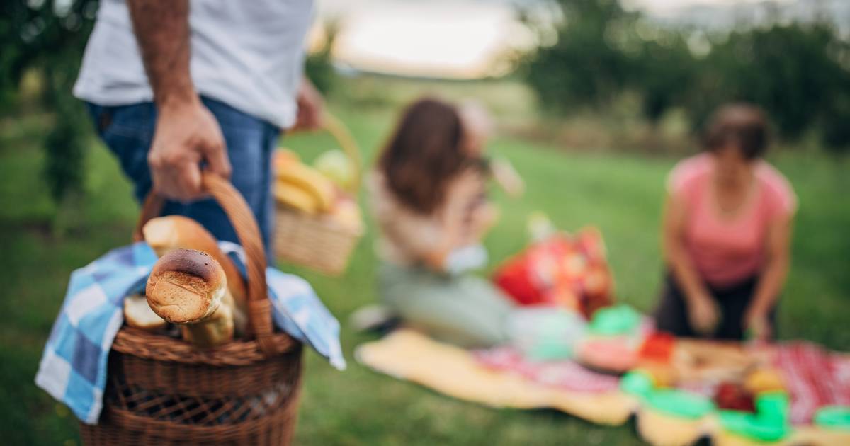 particolare del cesto da picnic
