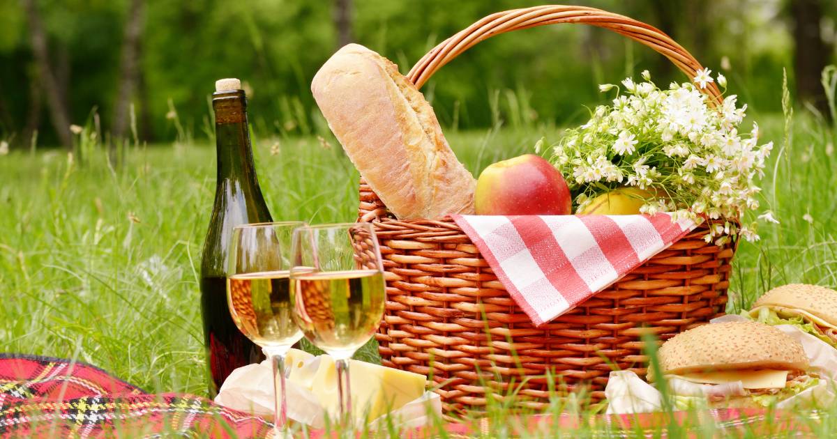 cesto da picnic adagiato sul prato