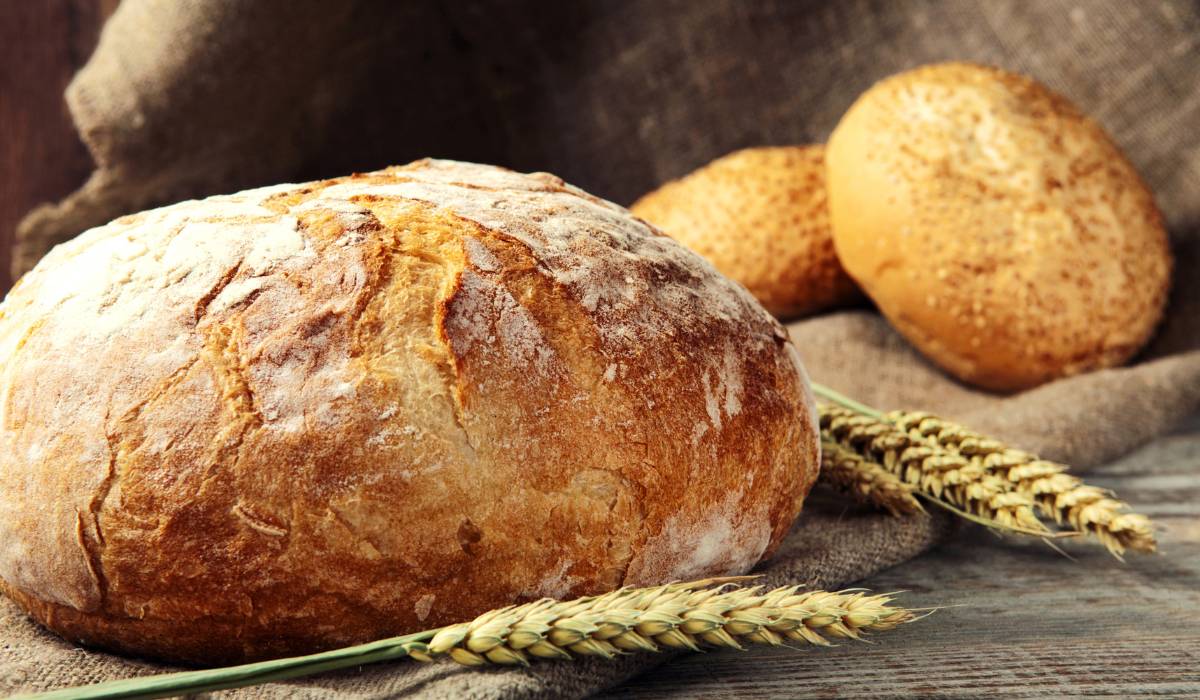 pagnotta di pane